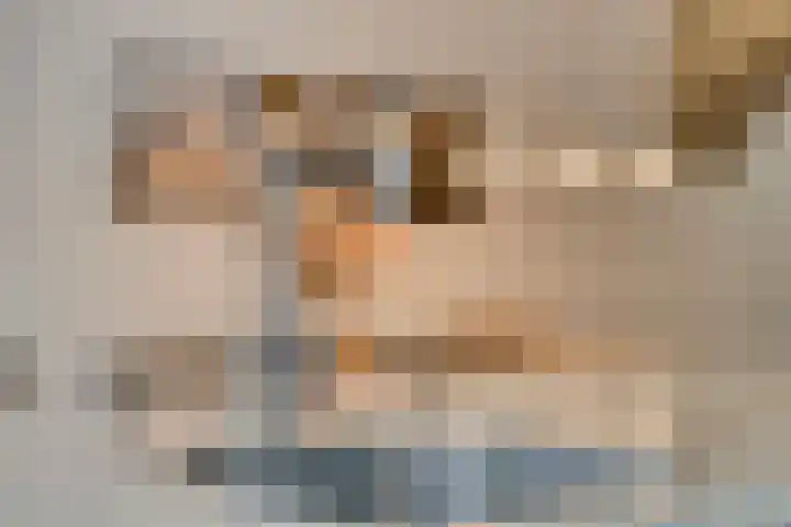 Zevenblad 30 Borne thumbnail 24