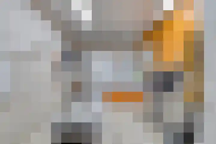 Zevenblad 30 Borne thumbnail 30