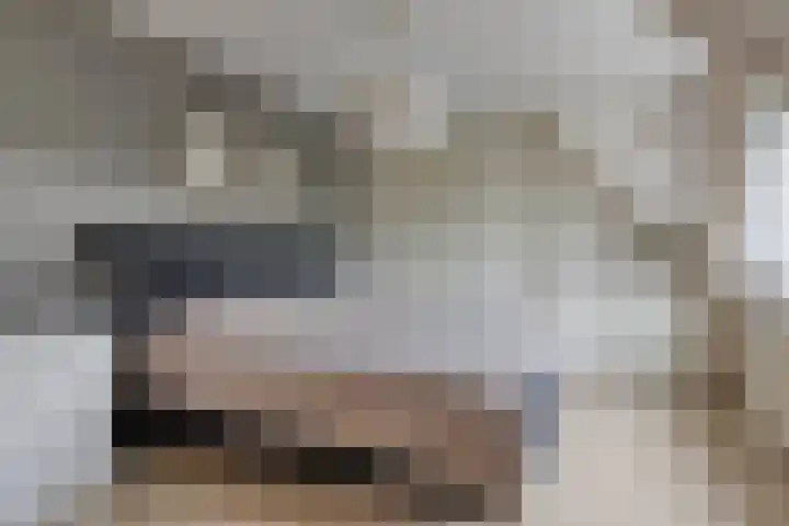 Zevenblad 30 Borne thumbnail 32