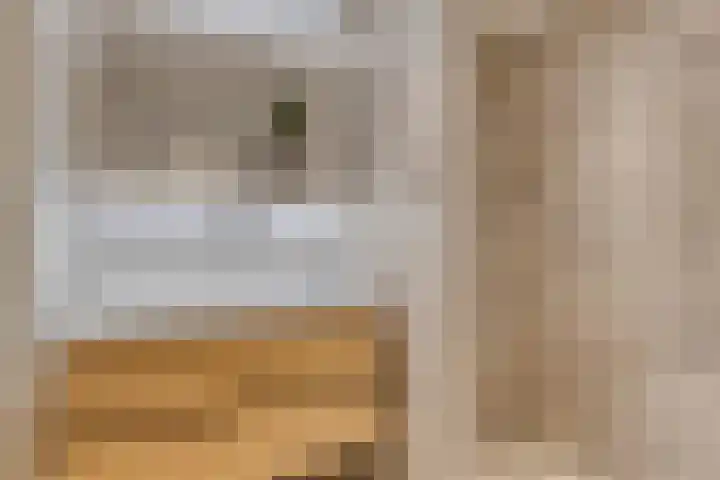 Zevenblad 30 Borne thumbnail 36