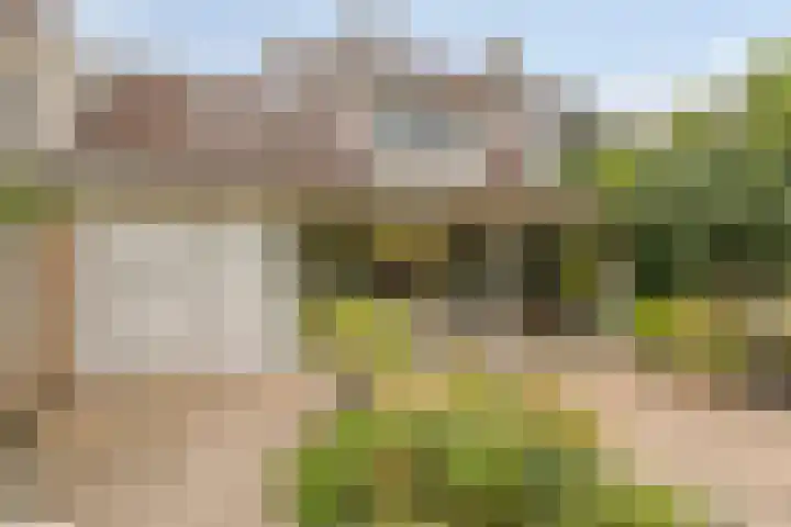 Zevenblad 30 Borne thumbnail 6