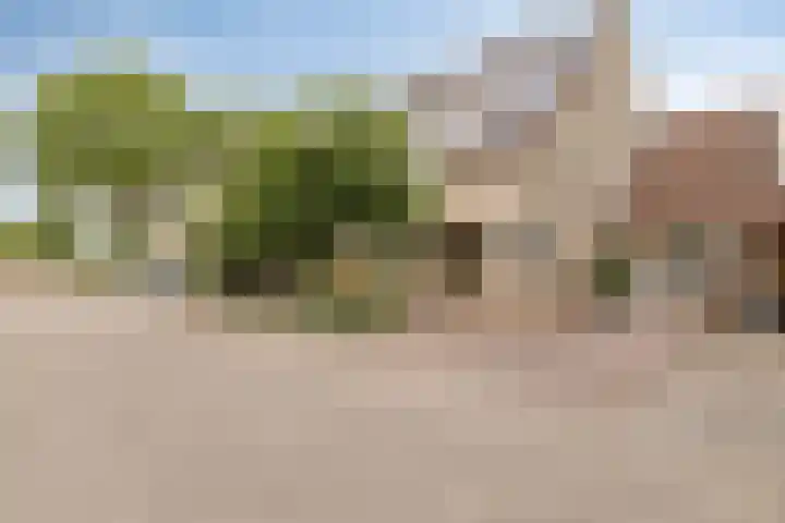 Zevenblad 30 Borne thumbnail 8