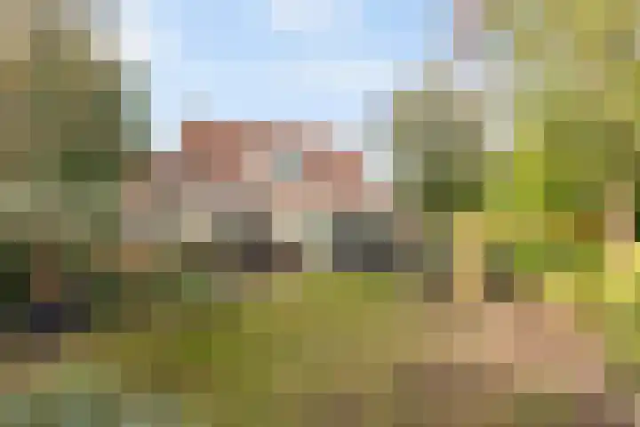 Zevenblad 33 Borne thumbnail 4