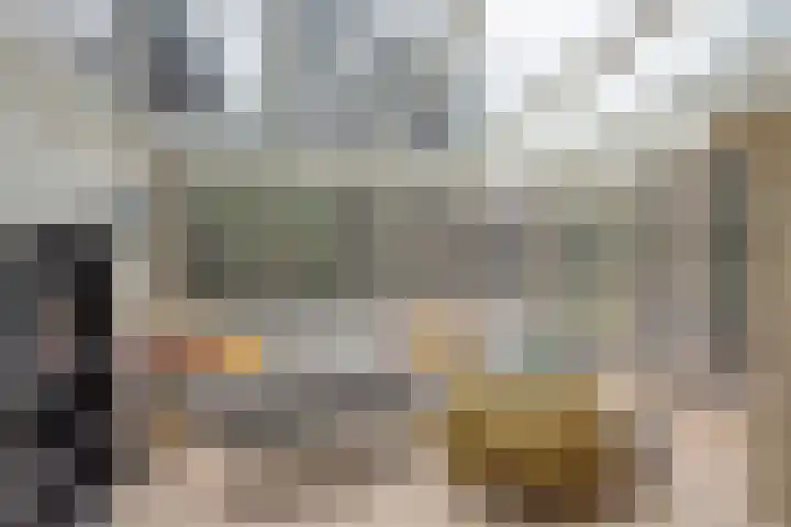 Zevenblad 33 Borne thumbnail 9