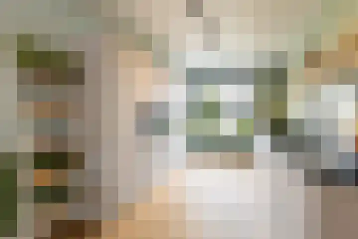 Zevenblad 38 De Meern thumbnail 11