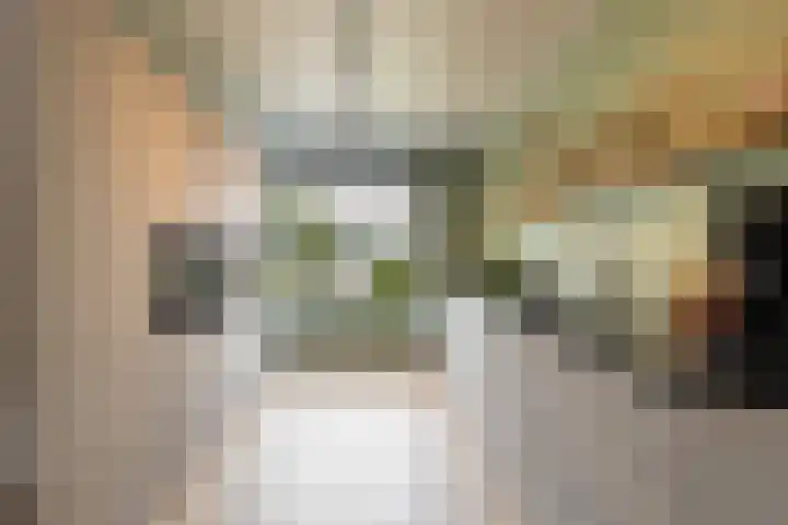 Zevenblad 38 De Meern thumbnail 12