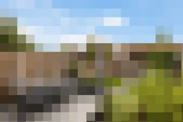 Zevenblad 38 De Meern thumbnail 28