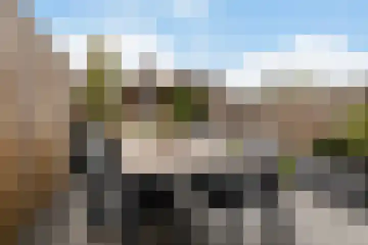 Zevenblad 38 De Meern thumbnail 29