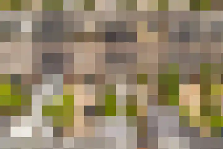 Zevenblad 38 De Meern thumbnail 38