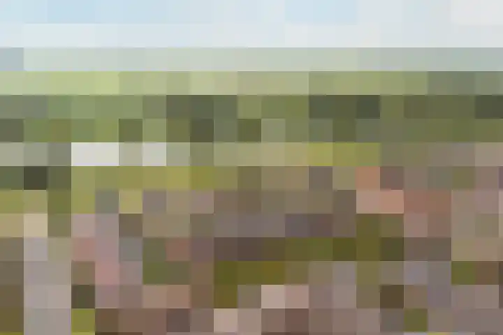 Zevenblad 38 De Meern thumbnail 40