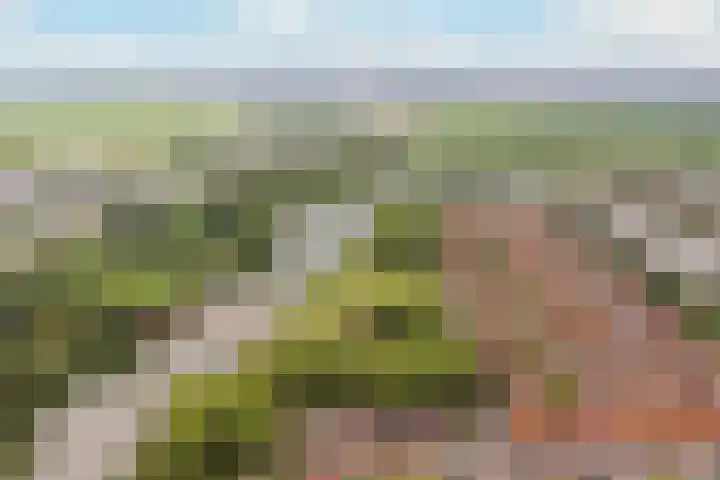 Zevenblad 38 De Meern thumbnail 41