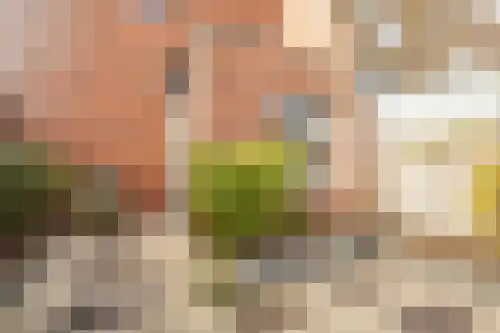 Zevenblad 39 De Meern thumbnail 15