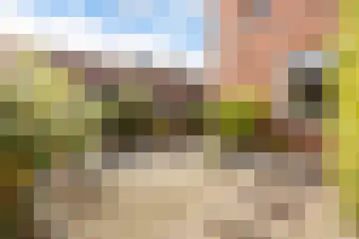 Zevenblad 39 De Meern thumbnail 16