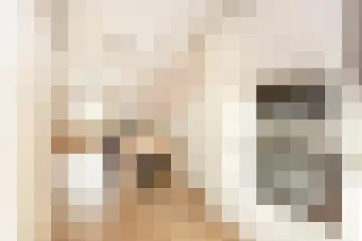 Zevenblad 39 De Meern thumbnail 17