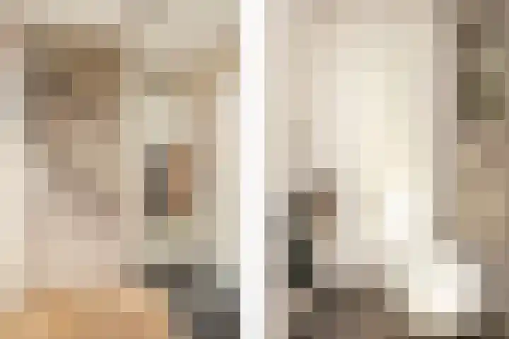 Zevenblad 39 De Meern thumbnail 20