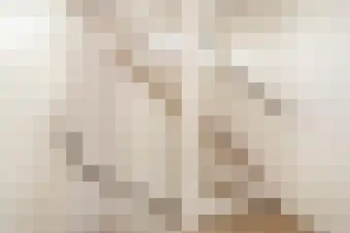Zevenblad 39 De Meern thumbnail 22