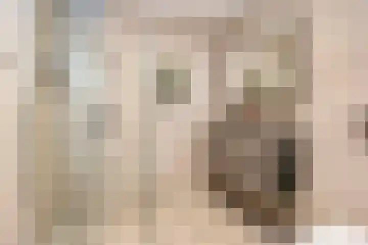 Zevenblad 39 De Meern thumbnail 29