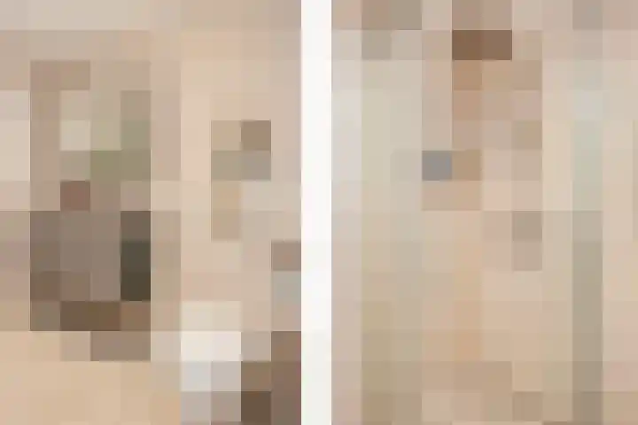 Zevenblad 39 De Meern thumbnail 30