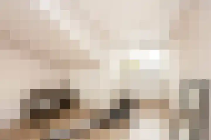 Zevenblad 39 De Meern thumbnail 32