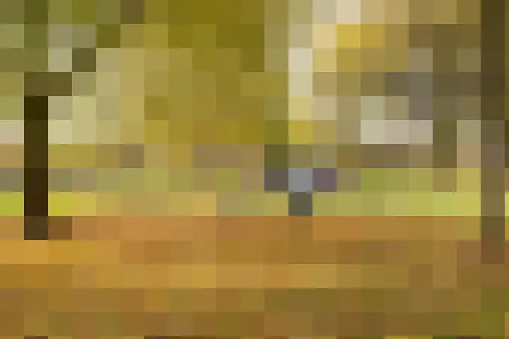 Zevenblad 39 De Meern thumbnail 38
