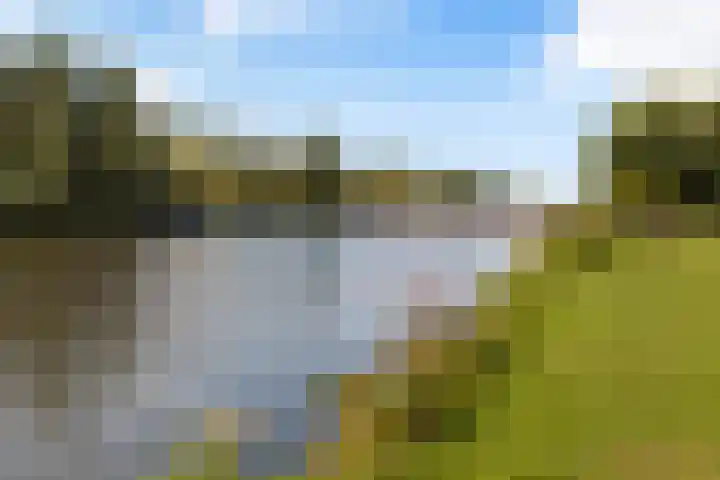 Zevenblad 39 De Meern thumbnail 49
