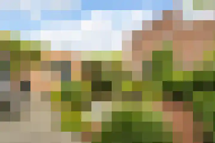 Zevenblad 91 De Meern thumbnail 12