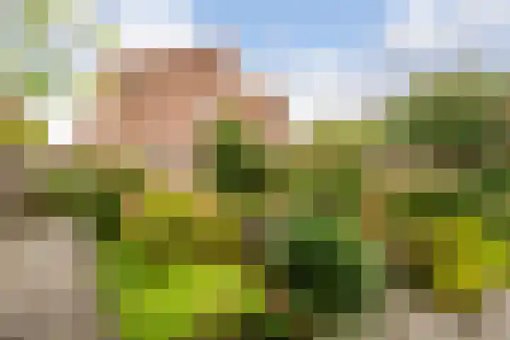 Zevenblad 91 De Meern thumbnail 14