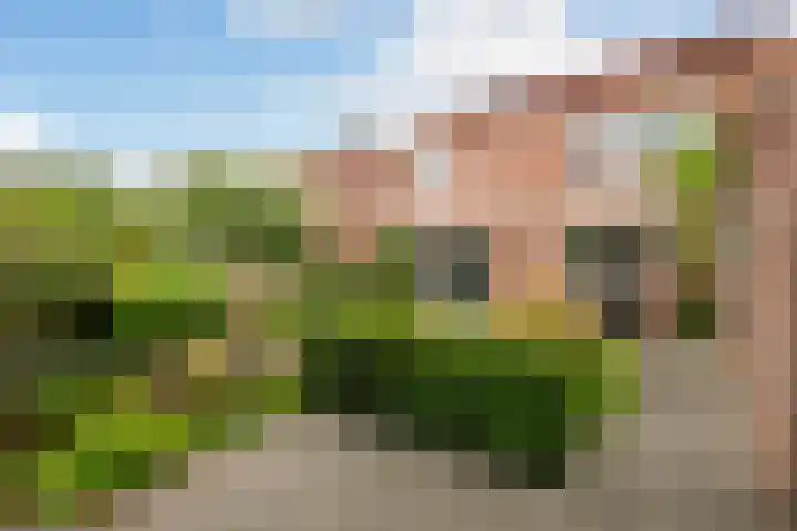 Zevenblad 91 De Meern thumbnail 15