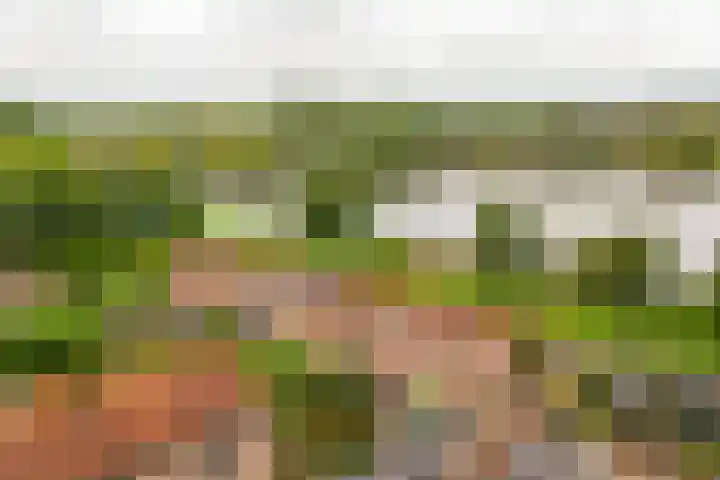 Zevenblad 91 De Meern thumbnail 38