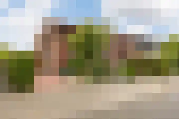 Zevenblad 91 De Meern thumbnail 4