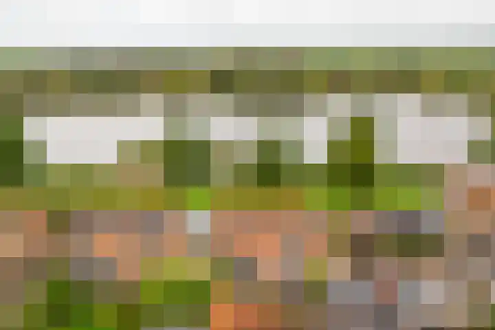 Zevenblad 91 De Meern thumbnail 40
