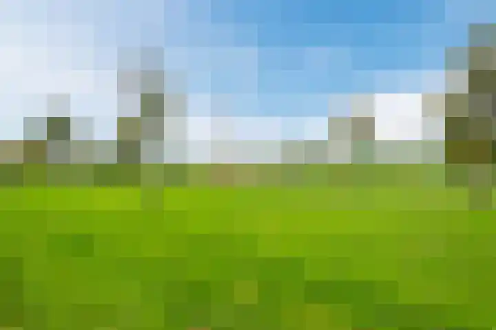 Zevenblad 91 De Meern thumbnail 43