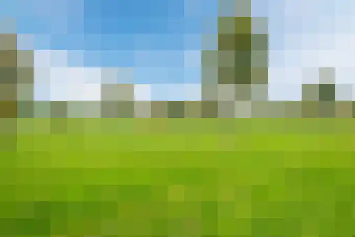 Zevenblad 91 De Meern thumbnail 44