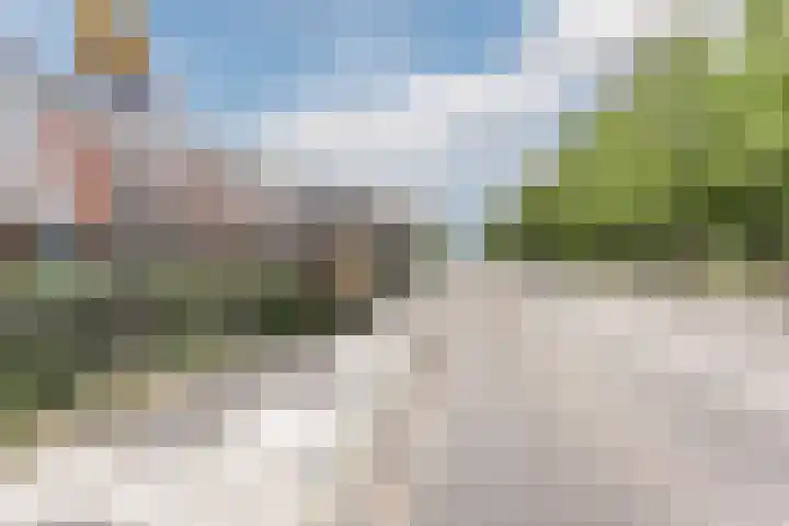 Zevenblad 91 De Meern thumbnail 46