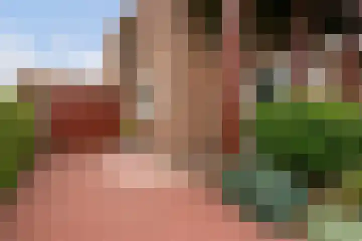 Zevenblad 91 De Meern thumbnail 5
