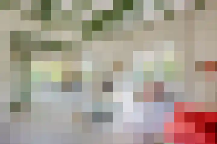 Zevenenderdrift 54 Laren thumbnail 6