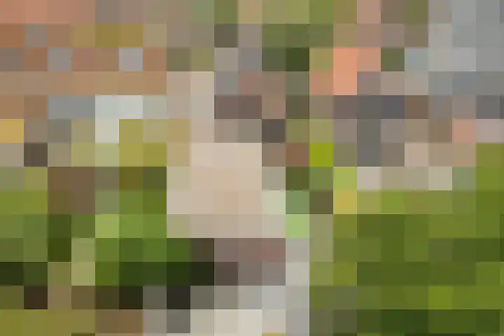 Zevenhuizerlaan 17 Heiloo thumbnail 56