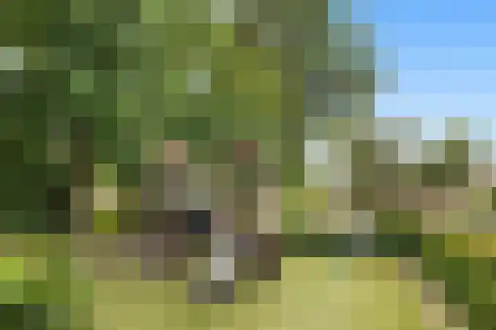 Zevenhuizerlaan 17 Heiloo thumbnail 57