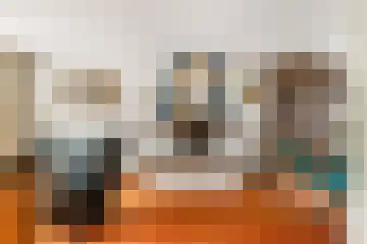 Zevenhuizerlaan 17 Heiloo thumbnail 6