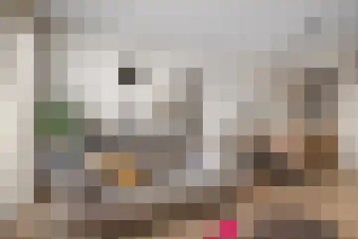 Zevenhuizerlaan 2 c Heiloo thumbnail 21