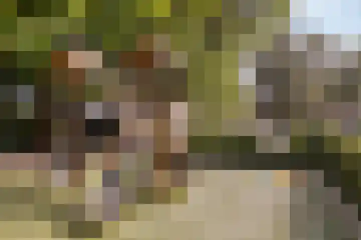 Zevenhuizerlaan 2 c Heiloo thumbnail 31