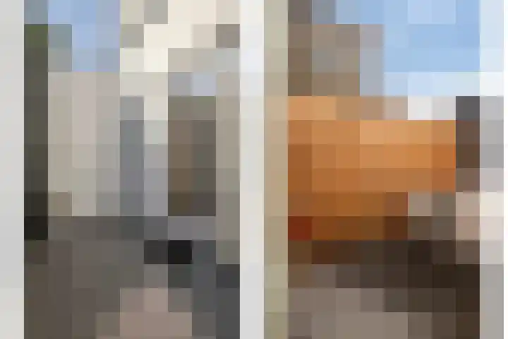 Zevenhuizerlaan 2 c Heiloo thumbnail 7