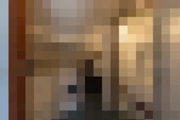 Zevensprong 28 Best thumbnail 24