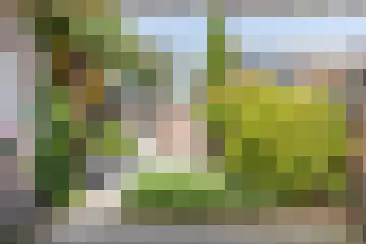 Zevensprong 28 Best thumbnail 26