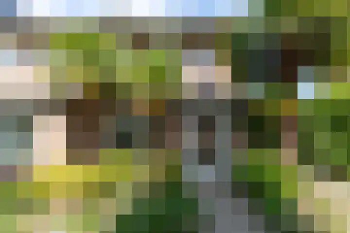 Zevensprong 28 Best thumbnail 30