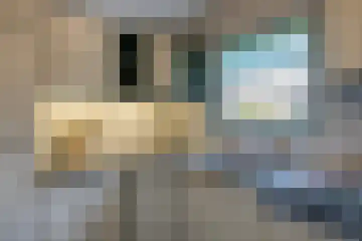 Zevensprong 28 Best thumbnail 7