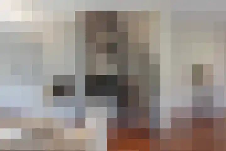 Zevensprong 28 Best thumbnail 9