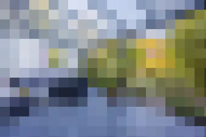 Zevensprong 63 Best thumbnail 42