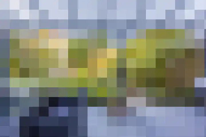Zevensprong 63 Best thumbnail 43