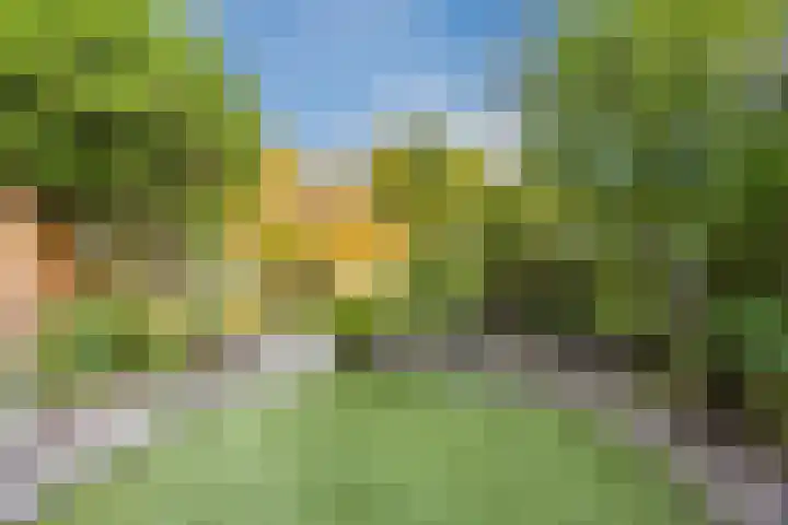 Zevensprong 63 Best thumbnail 44